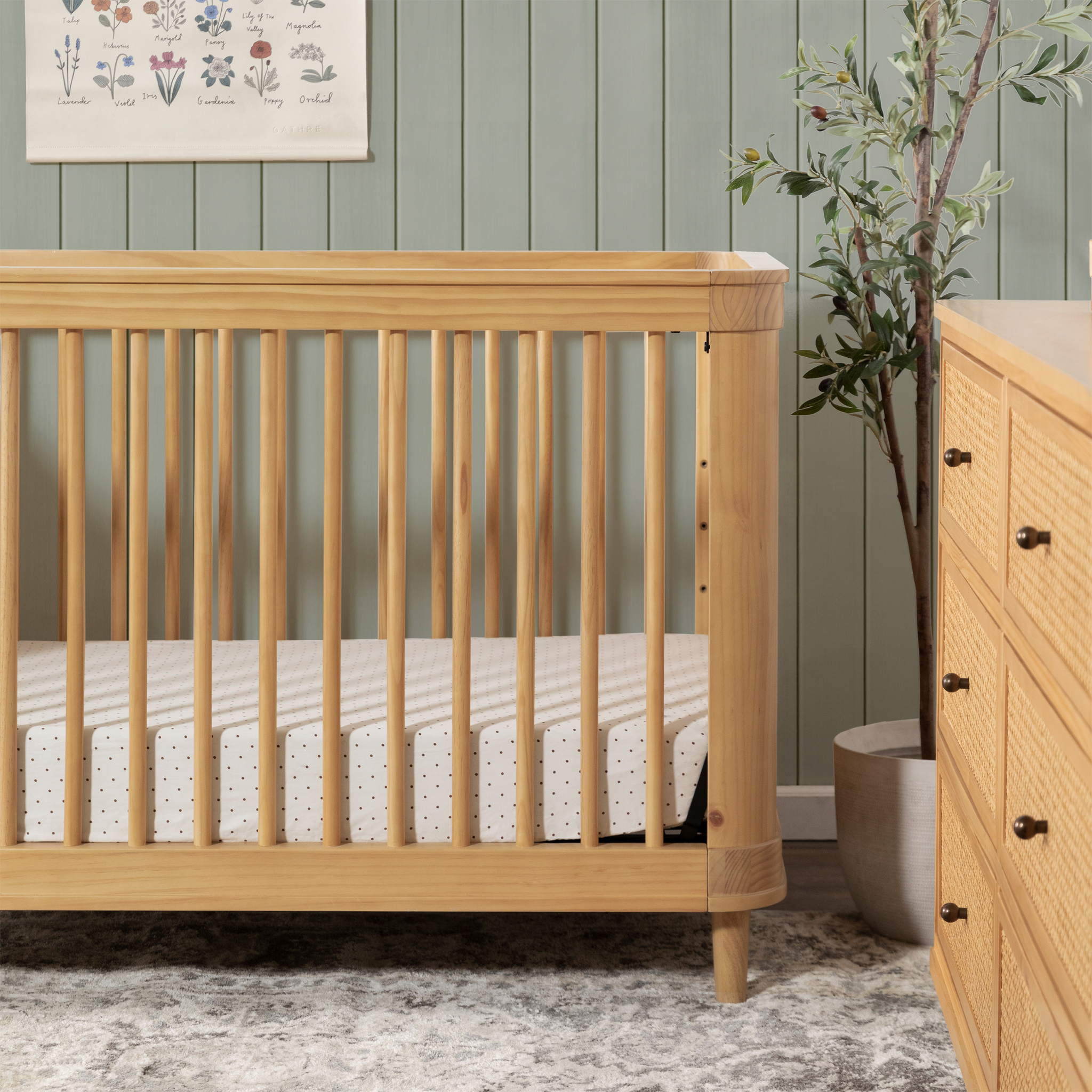 Marin with Cane 3 in 1 Convertible Crib - Tots to Teens Furniture