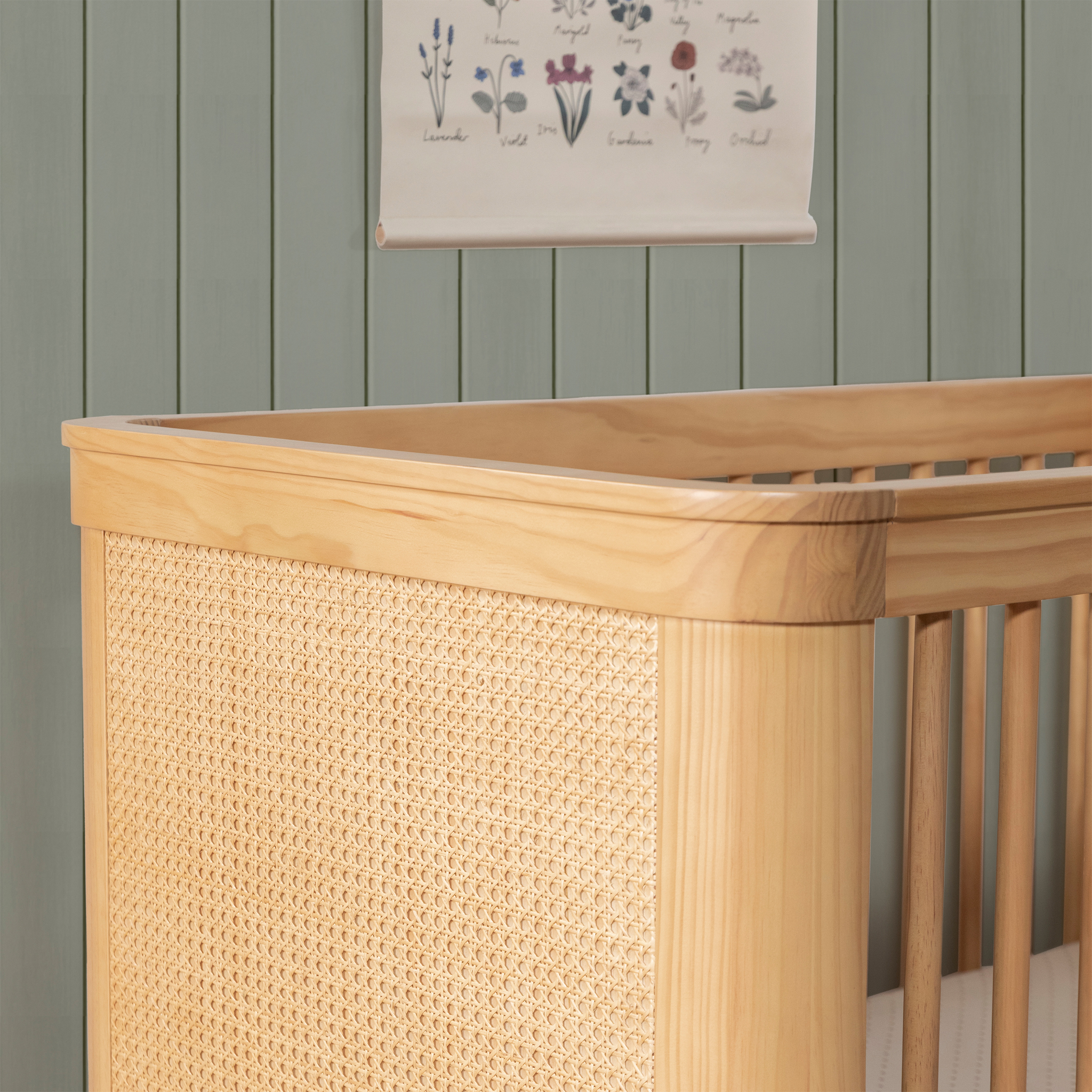 Marin with Cane 3 in 1 Convertible Crib - Tots to Teens Furniture