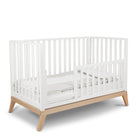 Pali Italy Toddler Guard Rail for Classico Cribs - Tots to Teens Furniture