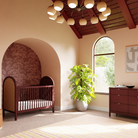 Bondi Cane 3-in-1 Convertible Crib w/ Toddler Bed Kit (Limited Colors Available) - Tots to Teens Furniture