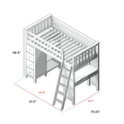 Loft Bed Storage Study | Tots to Teens Furniture
