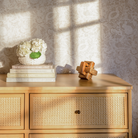 Marin with Cane 6 Drawer Dresser - Tots to Teens Furniture