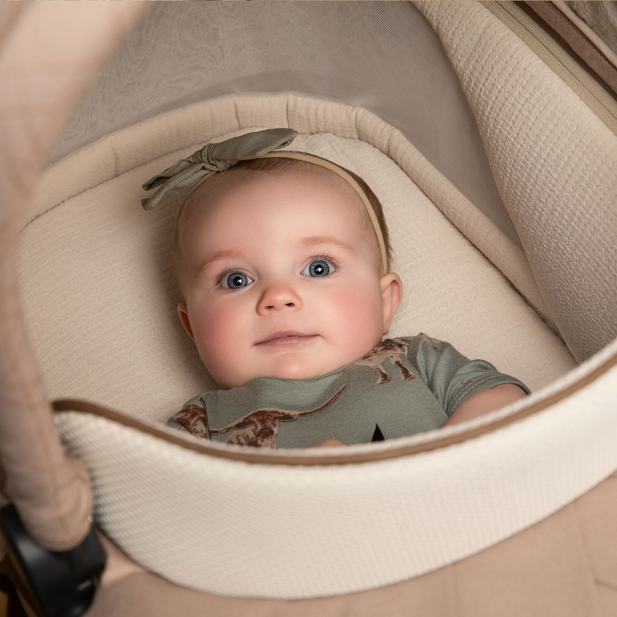 Carriage Accessory - Tots to Teens Furniture