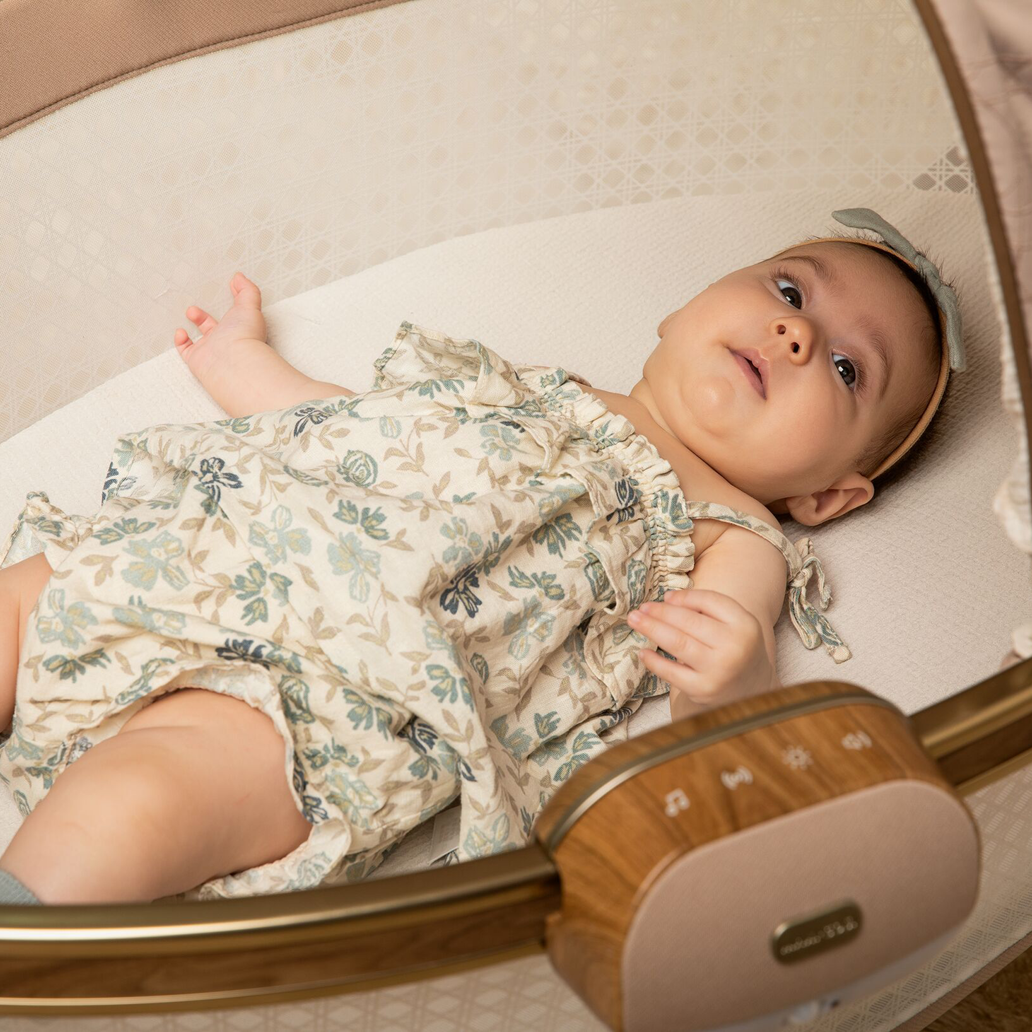 Sibia Bassinet - Tots to Teens Furniture