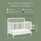 Liberty 4-in-1 Convertible Spindle Crib - Tots to Teens Furniture