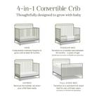 Winston 4 in 1 Convertible Crib - Tots to Teens Furniture