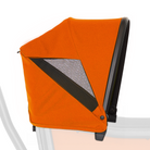 Sienna Orange